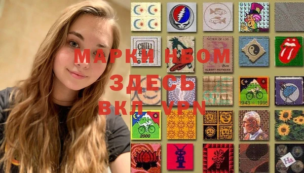 ешки Алексин