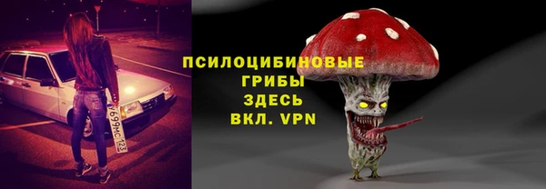 ешки Алексин