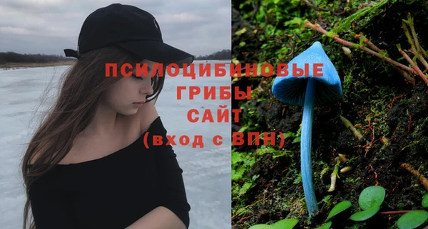индика Алексеевка