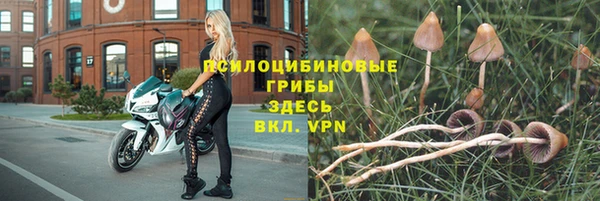 ешки Алексин