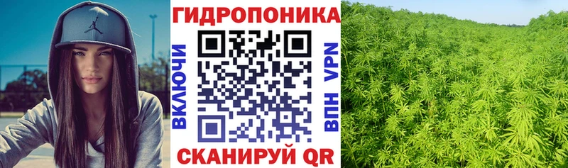Бошки марихуана AK-47  Купить  Афипский 